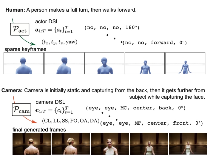 Auteur: Language-Driven Cinematographic Framing for Human-Centric Video Generation